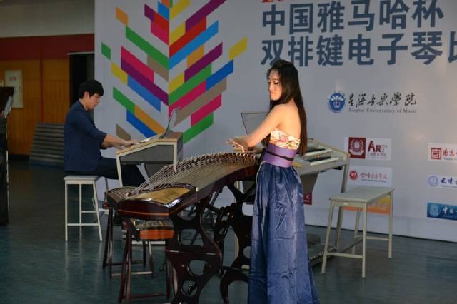 记2014年中国s36沙龙会杯双排键电子琴总决赛